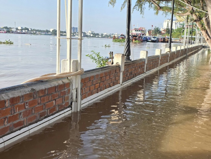 Tường bao ngăn nước tại đây được xây sau đợt triều cường gây ngập sâu hồi tháng 10 năm ngoái.