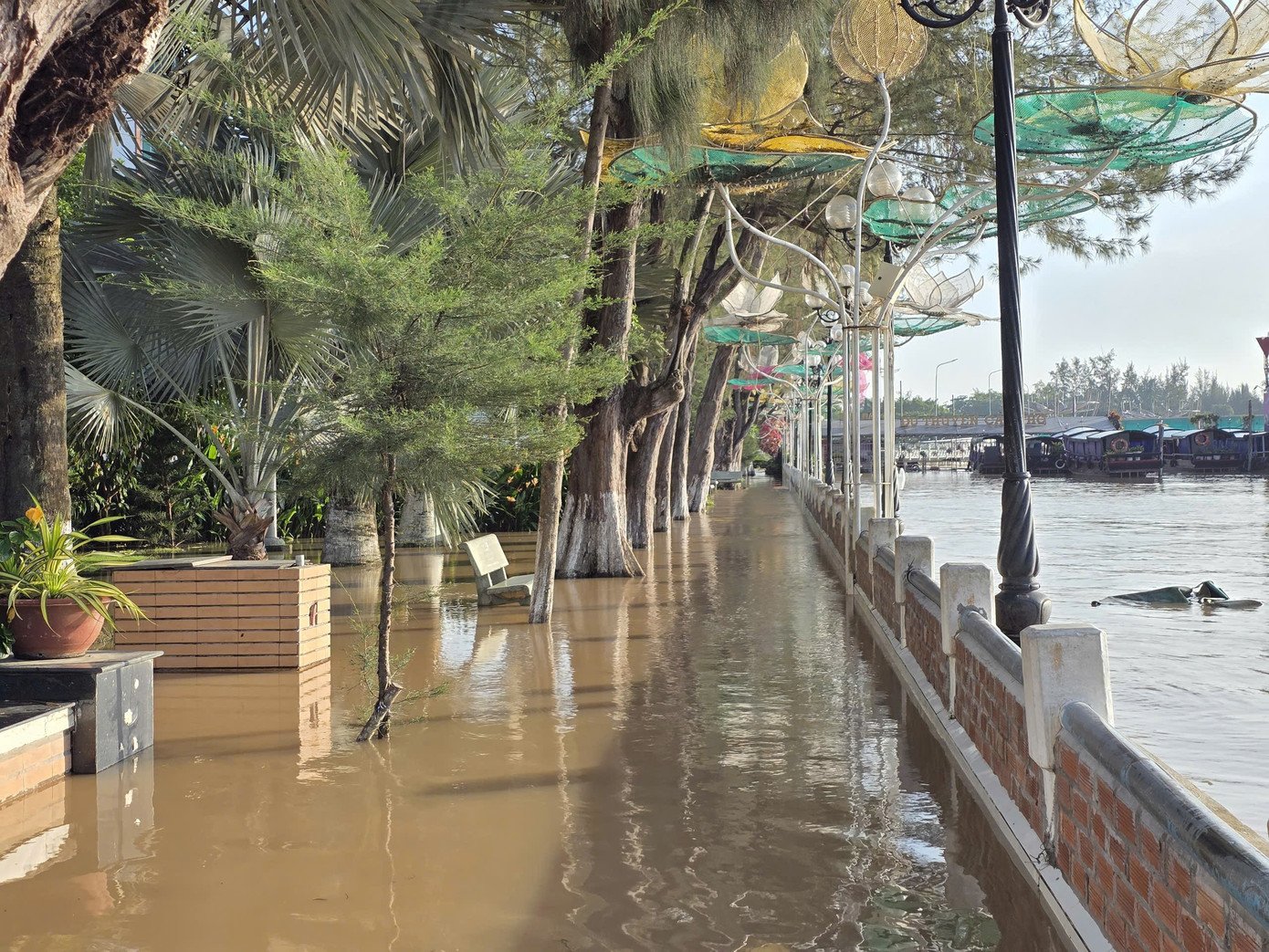 Bến Ninh Kiều lại chìm trong nước triều - 2