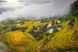 Du lịch - Đến Hoàng Su Phì, chiêm ngưỡng mùa vàng đẹp nhất Việt Nam