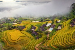 Du lịch - Đến Hoàng Su Phì, chiêm ngưỡng mùa vàng đẹp nhất Việt Nam