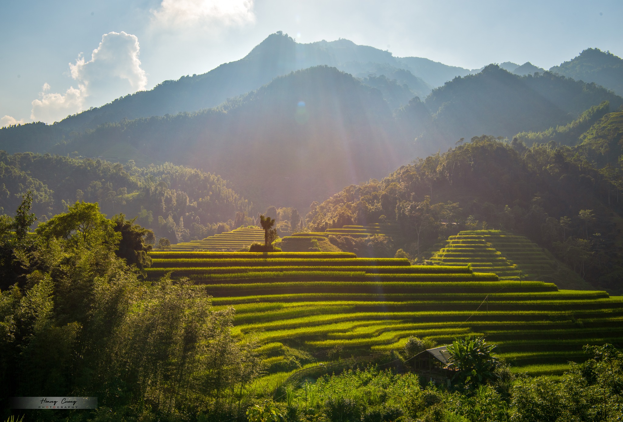 Đến Hoàng Su Phì, chiêm ngưỡng mùa vàng đẹp nhất Việt Nam - 5