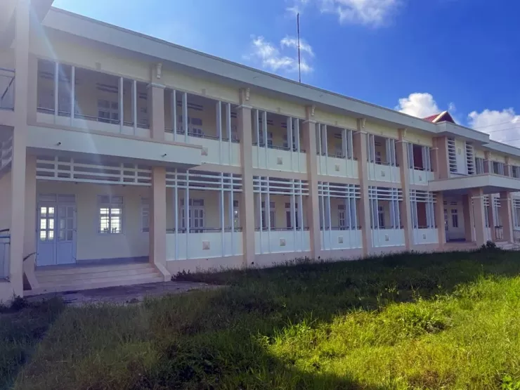 Cỏ dại mọc khắp nơi.