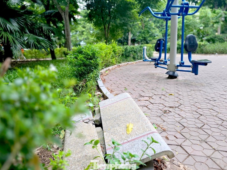 Cảnh hoang tàn, xuống cấp tại vườn hoa 52 tỷ ở Hà Nội - 5