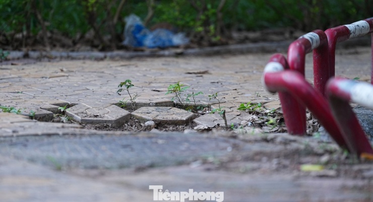 Cảnh hoang tàn, xuống cấp tại vườn hoa 52 tỷ ở Hà Nội - 4