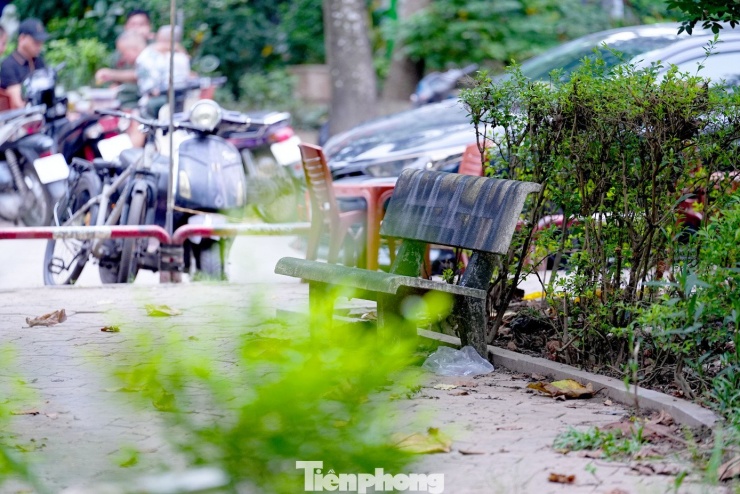 Cảnh hoang tàn, xuống cấp tại vườn hoa 52 tỷ ở Hà Nội - 13