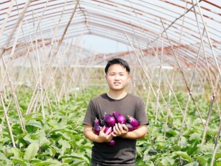 GenZ bỏ phố về quê làm nông dân mà giúp cả làng “phất lên”