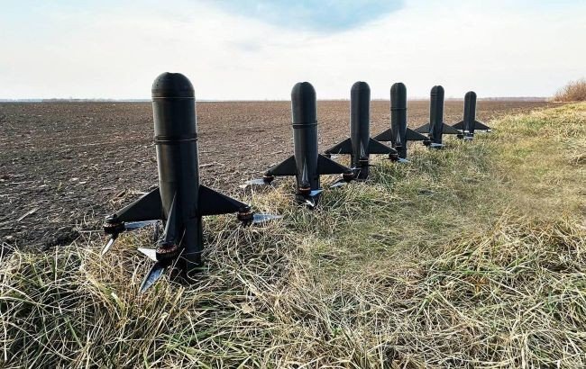 Ba Lan bắt tay Ukraine mở 'lá chắn thép' chặn UAV Nga - 1