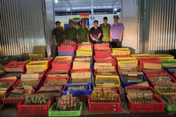 Tin tức trong ngày - Cận cảnh quy mô gây choáng của "tổng kho" sản xuất nước yến giả tại Đà Nẵng