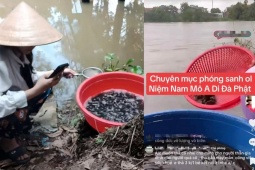 Thị trường - Tiêu dùng - Livestream mời gọi phóng sinh online: Không cần mua cá, thả cá, chỉ cần lên mạng “chốt đơn” với người bán