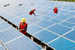 Các ‘ông lớn’ điện mặt trời đồng loạt báo lỗ nặng