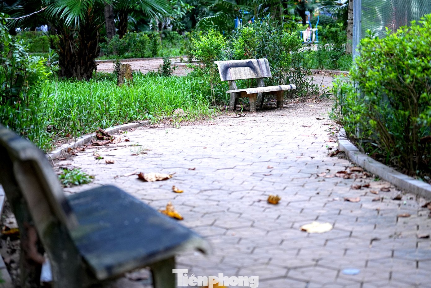 Cảnh hoang tàn, xuống cấp tại vườn hoa 52 tỷ ở Hà Nội - 8