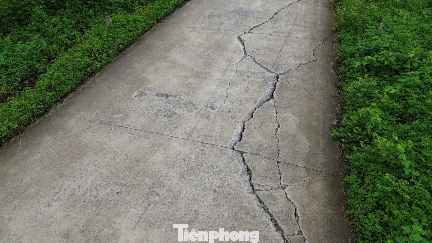 Tuyến đê ở Hà Nội sạt lở, nứt toác nhiều vị trí - 8