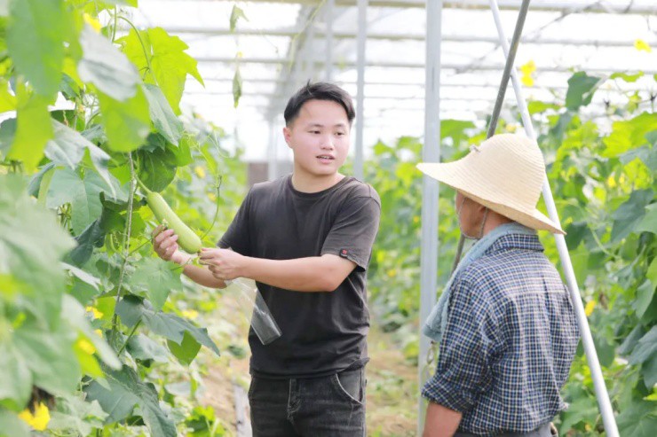 GenZ bỏ phố về quê làm nông dân mà giúp cả làng “phất lên” - 1