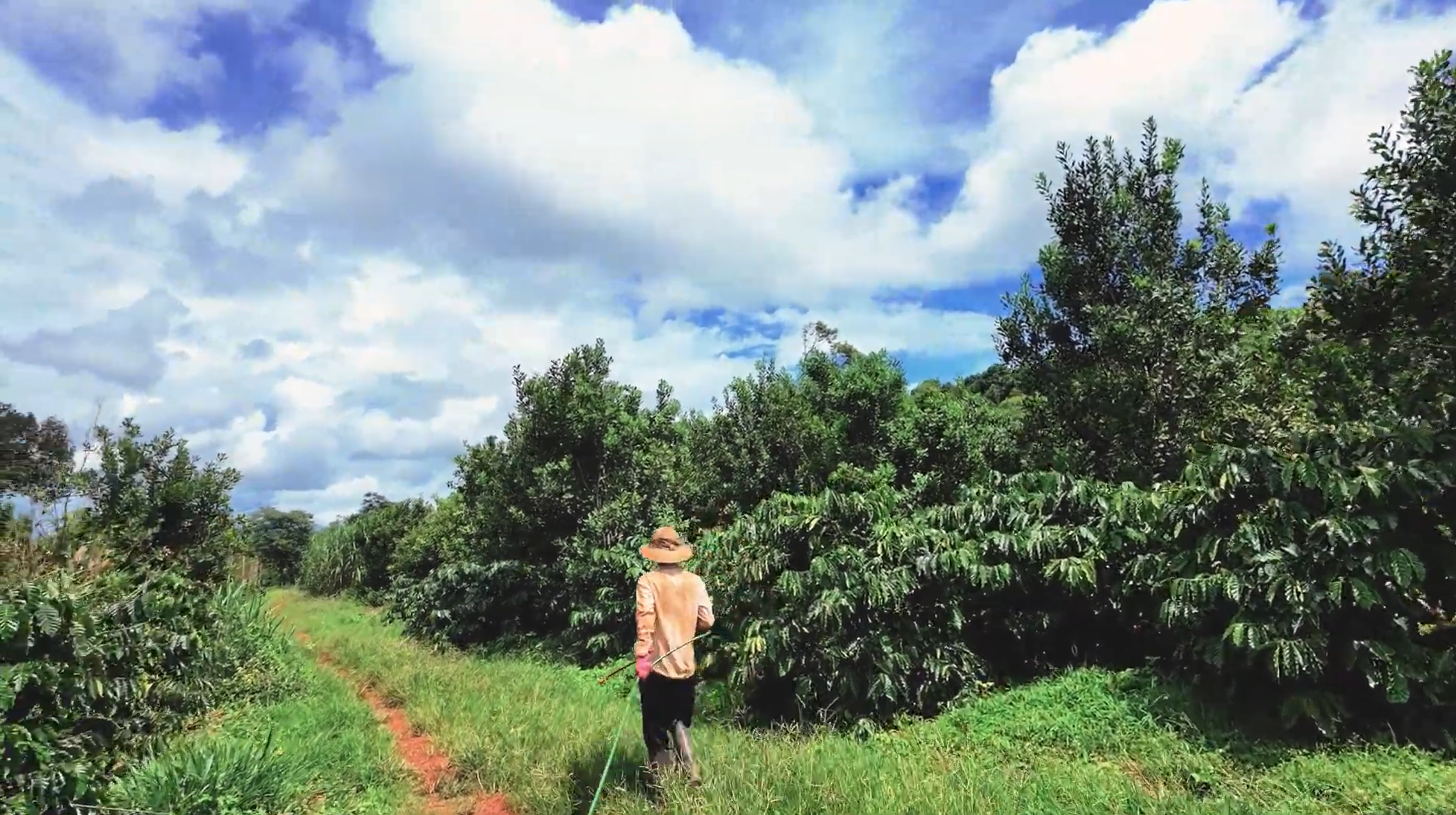 Bà con làm nông vừa tiết kiệm chi phí, vừa tăng hiệu quả canh tác