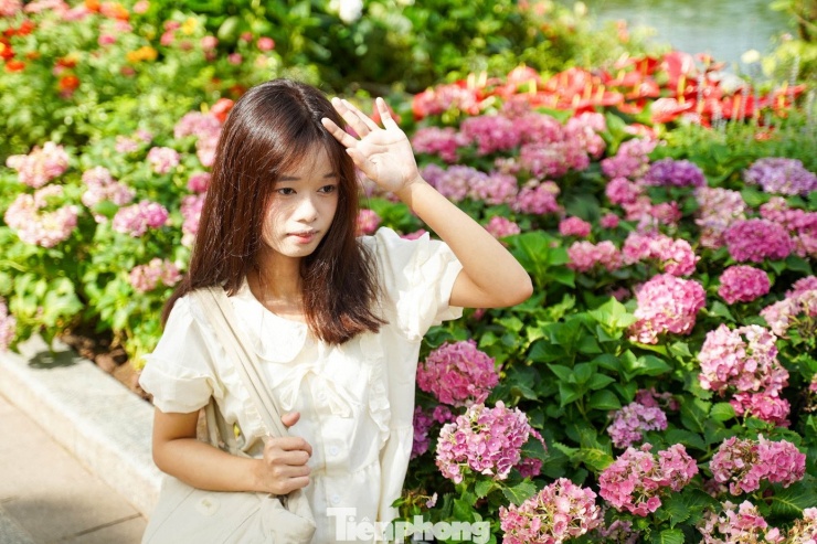 Hồ Gươm rực rỡ sắc hoa, khoảnh khắc đẹp như cổ tích giữa lòng Hà Nội - 10