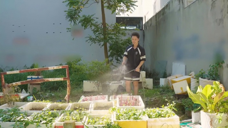 Trong khuôn viên của biệt thự, Đăng Khôi trồng hàng chục loại rau, củ như: mướp, sả, ớt, rau mùi, bạc hà, nha đam... đủ ăn mỗi ngày, thậm chí mang biếu hàng xóm.&nbsp;