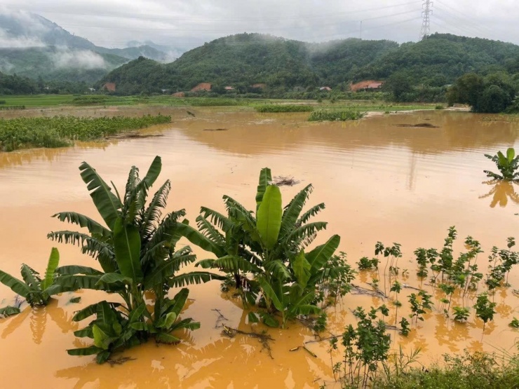Nước sông dâng cao.