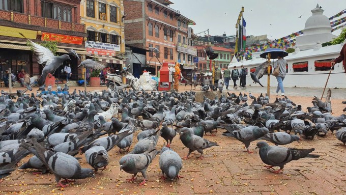 Đường phố Kathmandu năm 2022. Ảnh: Viên Dung