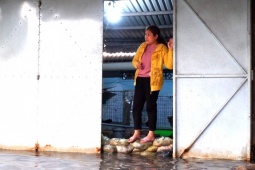 Tin tức trong ngày - Vật vã 'be bờ, tát nước' bên cạnh dự án chống ngập 10.000 tỷ