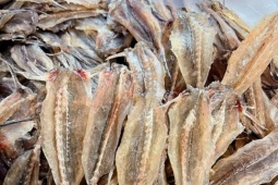 Thị trường - Tiêu dùng - Loài cá xưa dành cho người nghèo nay phơi khô bán 300.000 đồng/kg, thịt săn chắc như thịt gà