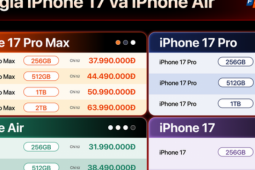 Thị trường - Tiêu dùng - Các hệ thống bán lẻ đồng loạt nhận đặt cọc iPhone 17 series