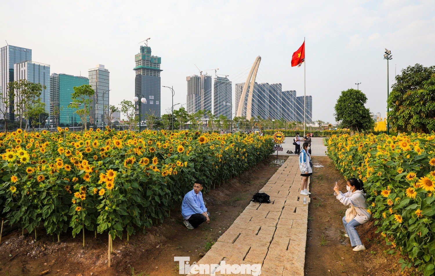 Những công trình góp phần thay đổi diện mạo TPHCM 5 năm qua - 12