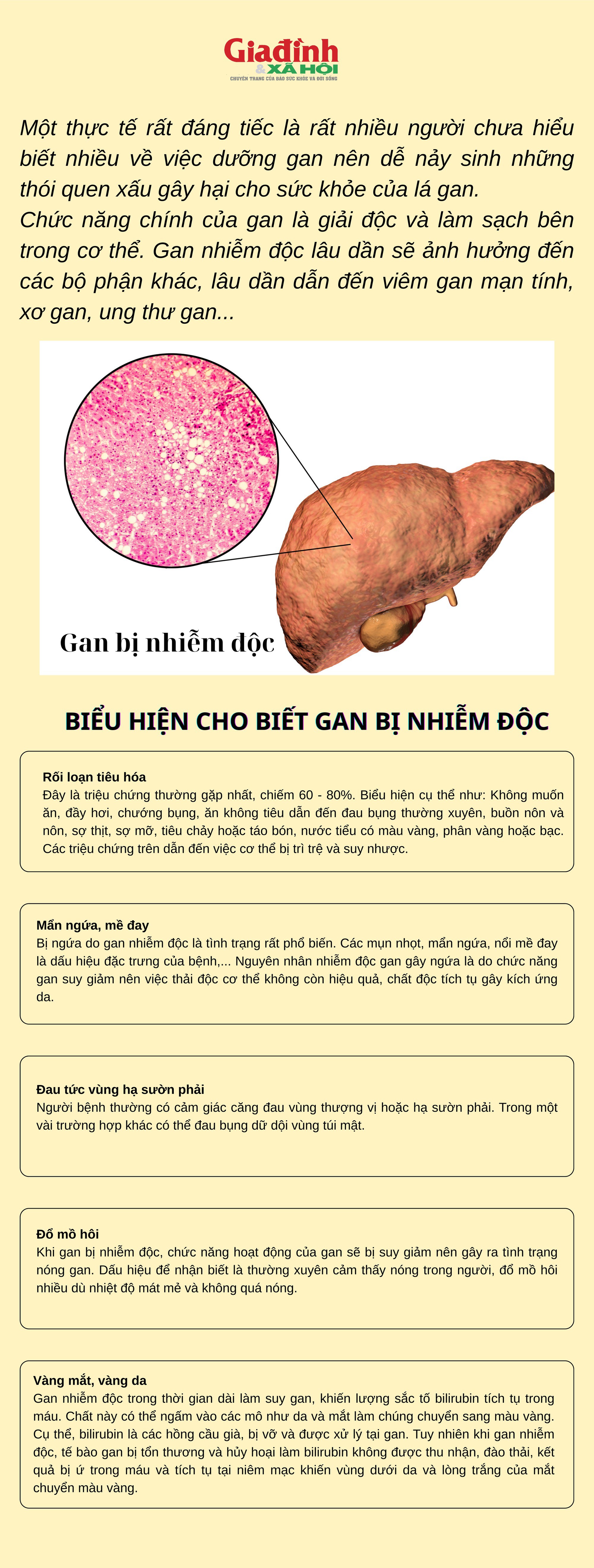 Gan nhiễm độc nguy hiểm hơn bạn nghĩ: 5 dấu hiệu thầm lặng nhiều người bỏ qua - 1