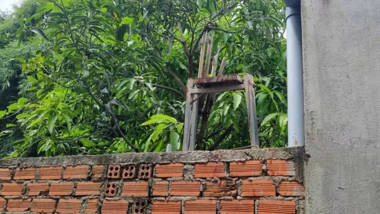 Nhờ chiếc thang sắt bên bờ tường, cháu P đã leo tường chạy sang hàng xóm và được cứu giúp. Ảnh: T.T