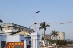 Hồi kết của công ty làm nhà máy thức ăn chăn nuôi nhưng tự ý sản xuất...