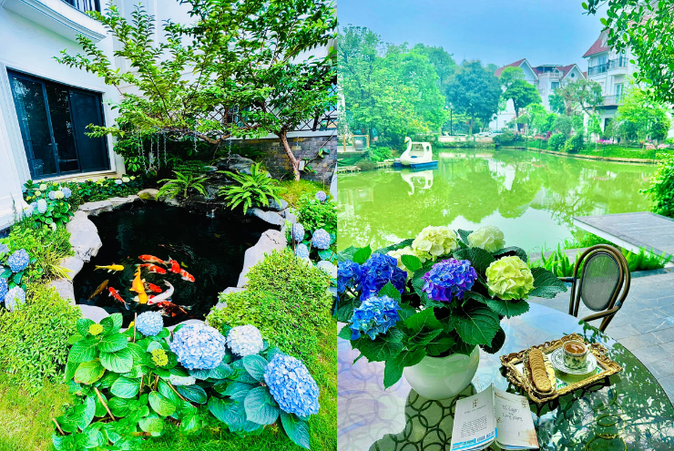 Trong sân vườn có hồi cá Koi và nhiều loại cây, hoa.