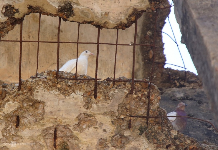 Ngôi trường sót lại sau cuộc chiến 81 ngày đêm ở Quảng Trị - 6