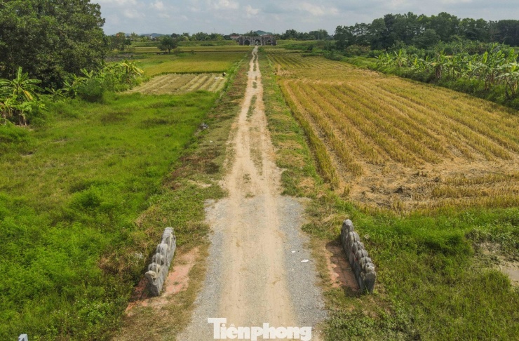 Theo quyết định phê duyệt, dự án được triển khai trong giai đoạn 2025-2028. Cụ thể, giai đoạn 2025-2027 tập trung vào cải tạo Khu trưng bày khảo cổ Điện Hoàng Nguyên, tu bổ, phục hồi Hào thành phía Nam (gồm cả Vệ thành), tu bổ, phục hồi đường Hoàng Gia, tu bổ, chống thấm Cổng Nam, xây dựng đường giao thông nội bộ, cây xanh cảnh quan, điện chiếu sáng và hạ tầng kỹ thuật.