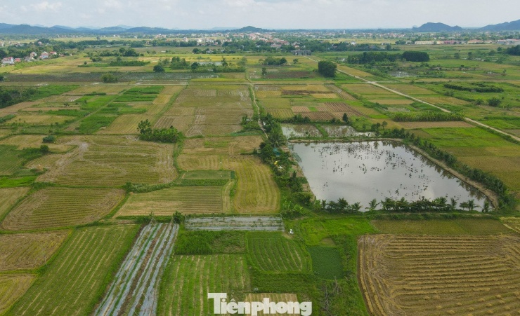 Phía bên trong nội thành lâu nay người dân địa phương vẫn canh tác, trồng lúa, hoa màu.