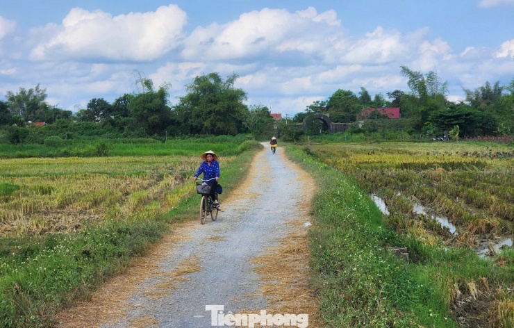 Dự án cũng đầu tư, nâng cấp tổng thể 5 tuyến đường nội bộ, trong đó có các tuyến đường xây dựng phục vụ cho việc xe điện chở khách tham quan. Hiện nay, các tuyến đường dành cho xe điện chở khách tham quan được xây dựng bằng bê tông, thảm base và có dấu hiệu xuống cấp, gây khó khăn khi phương tiện di chuyển.