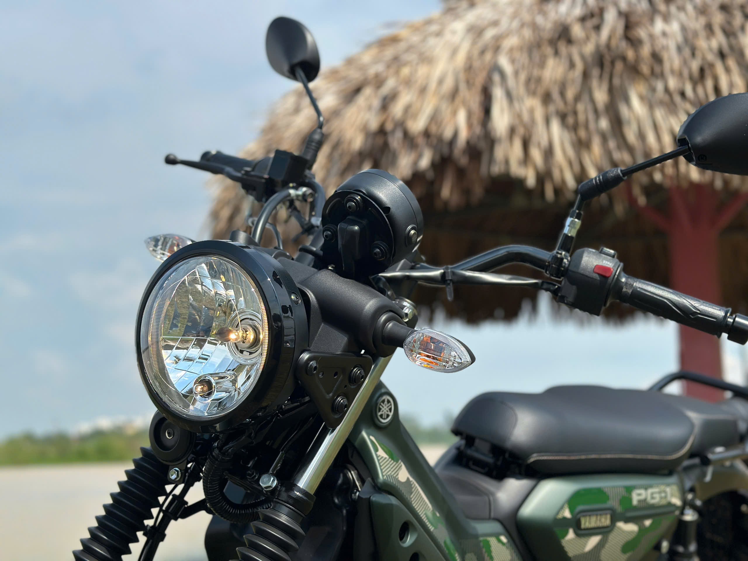Yamaha PG-1 phiên bản đặc biệt có giá gần 35 triệu đồng - 3