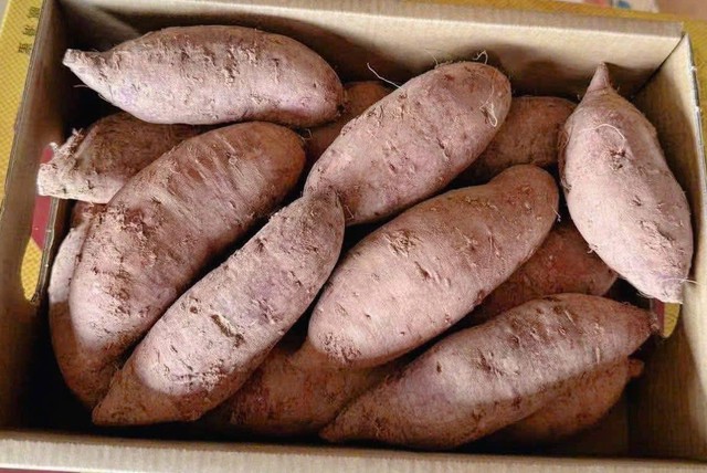 Người tiêu dùng nên chọn mua khoai lang tại nơi uy tín để đảm bảo nguồn gốc, chất lượng.