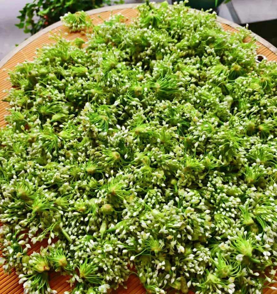 Mùa thu, đừng quên thưởng thức món ngon hỗ trợ thải độc gan, kháng khuẩn và dưỡng nhan với loại rau độc đáo này - 2