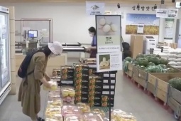 Thị trường - Tiêu dùng - Quả bình dân ở Việt Nam, sang nước ngoài giá nửa triệu đồng/quả