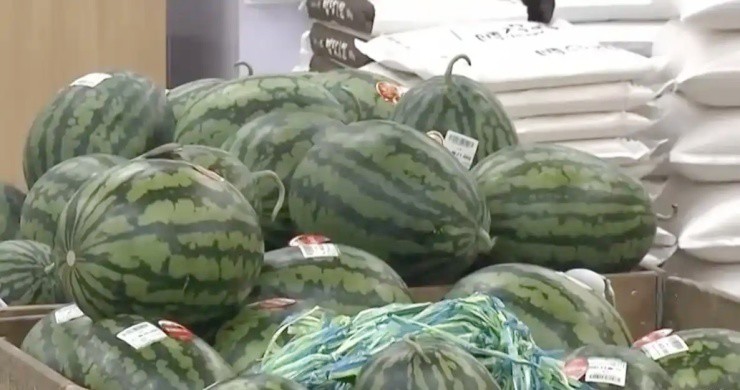 Quả bình dân ở Việt Nam, sang nước ngoài giá nửa triệu đồng/quả - 1