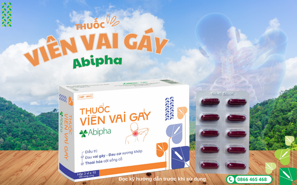 Thuốc viên vai gáy Abipha: Giải pháp thảo dược cho xương khớp, vai gáy và cột sống cổ - 3