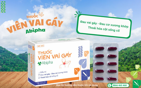 Thuốc viên vai gáy Abipha: Giải pháp thảo dược cho xương khớp, vai gáy và cột sống cổ - 2