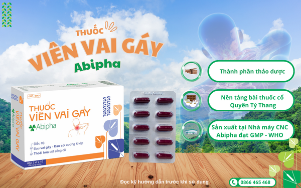 Thuốc viên vai gáy Abipha: Giải pháp thảo dược cho xương khớp, vai gáy và cột sống cổ - 1
