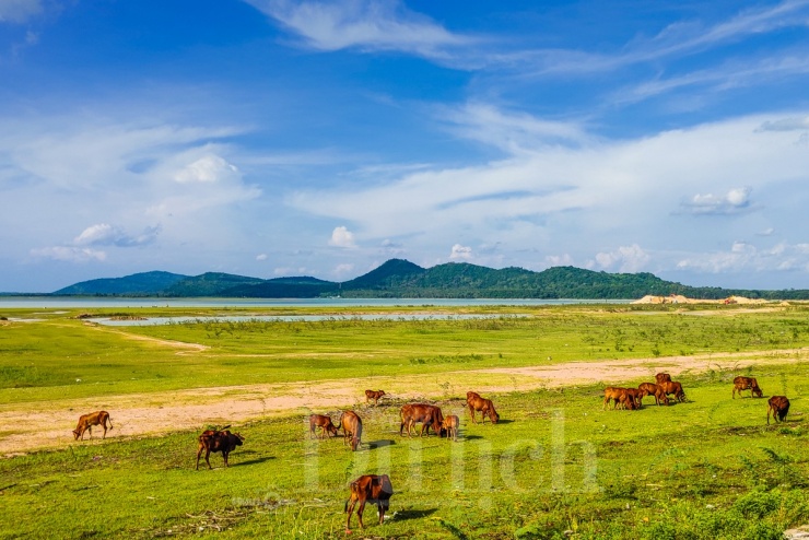 Từ dãy núi Cậu im lìm soi bóng bên Hồ Dầu Tiếng cho đến đến ngọn núi tâm linh Châu Thới với ngôi Linh sơn cổ tự bề thế trên đỉnh.