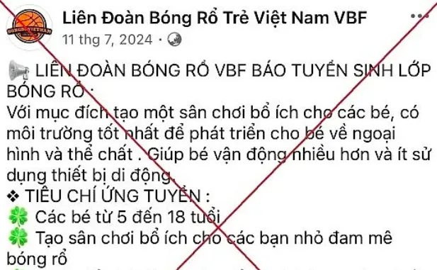 Trang giả mạo do nhóm lừa đảo tạo ra. Ảnh: CA