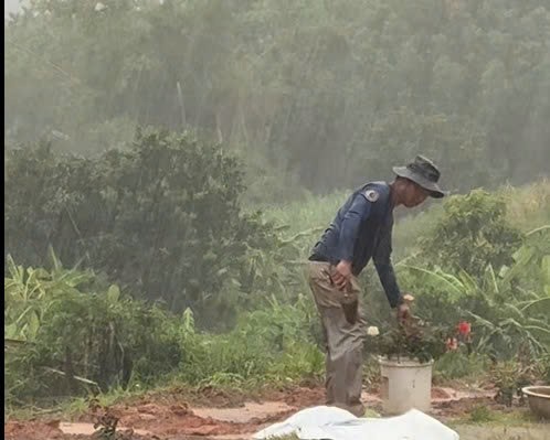 Câu chuyện người chồng trồng đường hoa ven đường để tưởng nhớ vợ gây xúc động