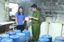 An ninh - Xã hội - Khởi tố người phụ nữ dùng hóa chất sản xuất 1,4 tấn giá đỗ