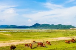 Soán ngôi Giồng Chùa, ngọn núi nào đạt quán quân nóc nhà của TP.HCM lớn