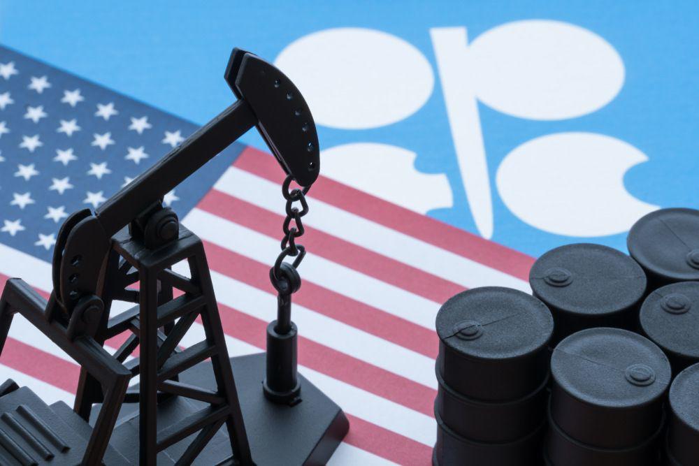 OPEC+ quyết định bất ngờ, giá dầu sẽ ra sao? - 1