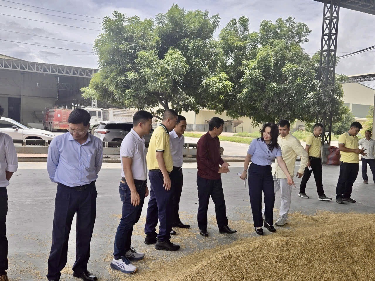 Phó TGĐ Nguyễn Thị Hiền cùng đoàn công tác trao đổi trực tiếp với đối tác về chất lượng nguyên liệu và tập quán canh tác của nông dân Campuchia.