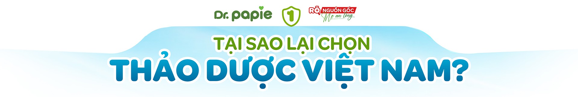 Thảo dược thiên nhiên: Từ bài thuốc dân gian đến khoa học trị sốt ở trẻ - 4